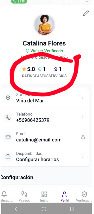 Pantalla de calificaciones con el promedio de estrellas y las reseñas recibidas