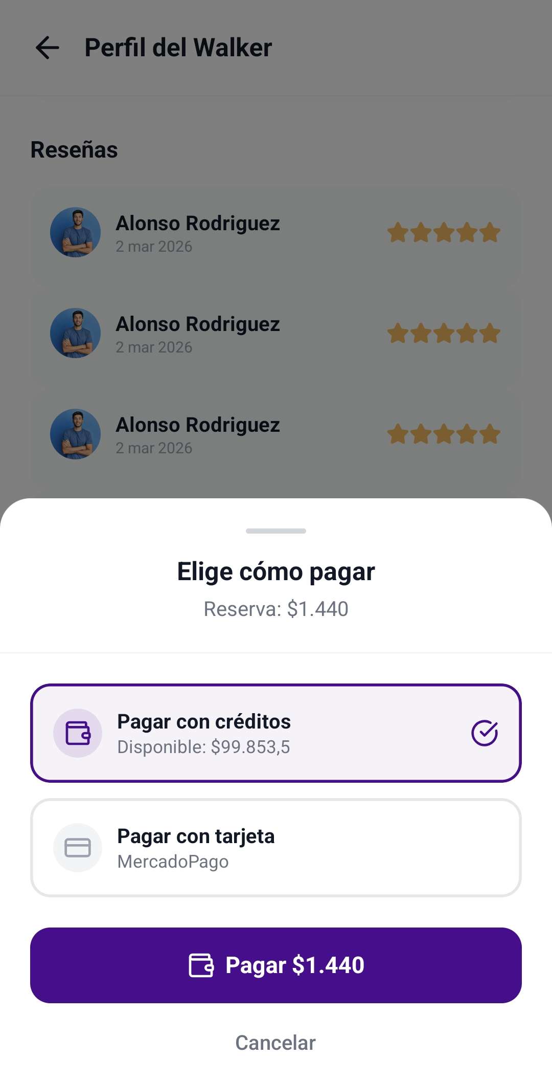 Pantalla para pagar un servicio usando los créditos de tu billetera PawsWalk.